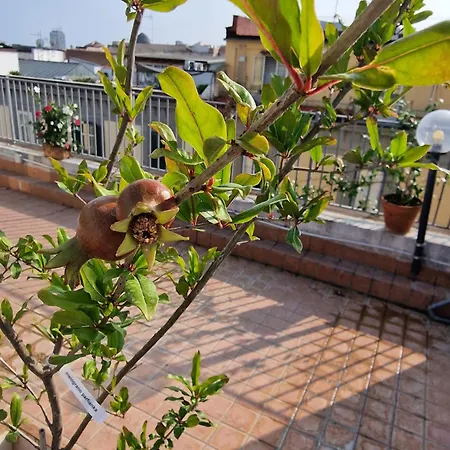 La Terrazza Delle Fate 4*