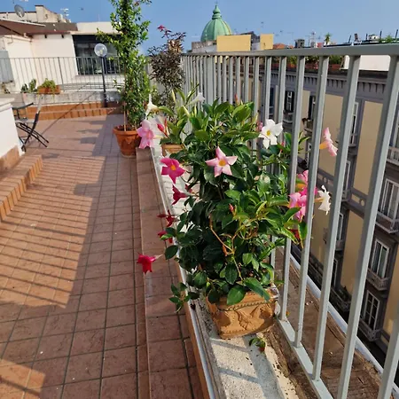 게스트하우스 La Terrazza Delle Fate